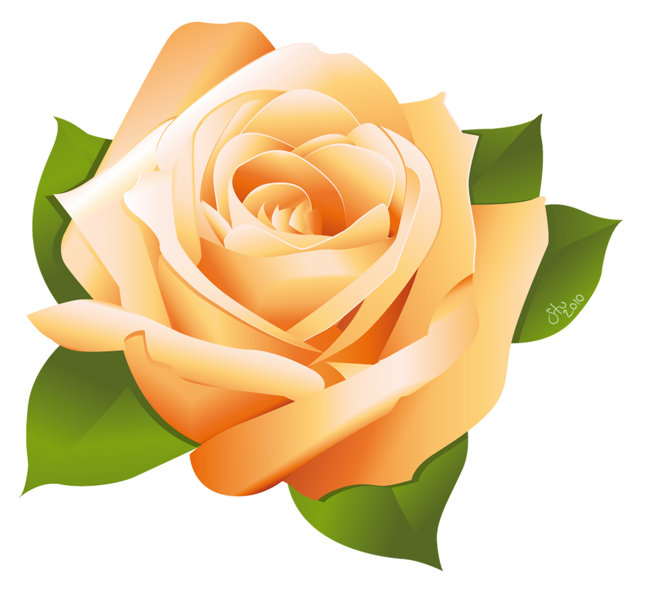 clipart chat rose - photo #10