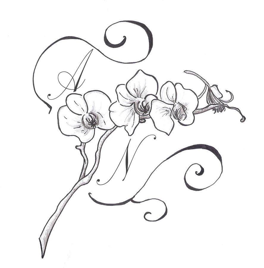 Orchid Line Art
