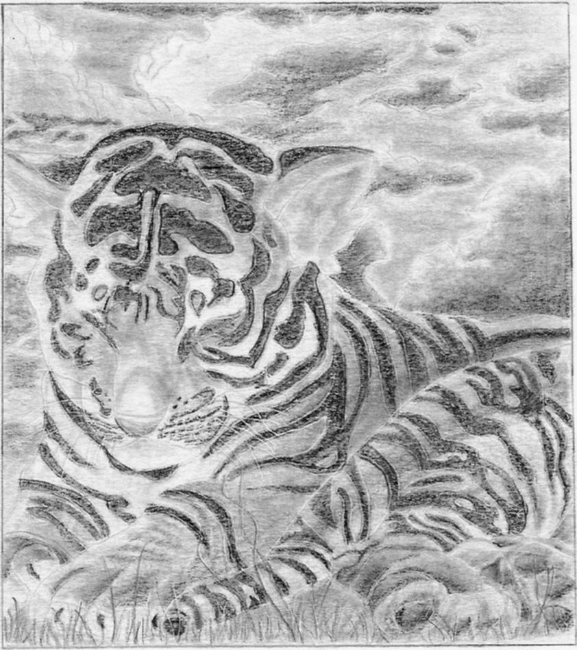 Art Tiger Pencil Shading by Sahrynar on DeviantArt