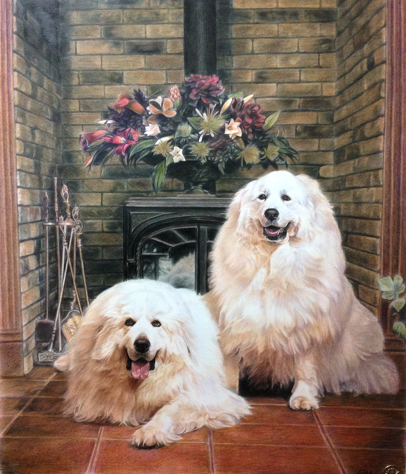 Pyrenees dogs commissioned